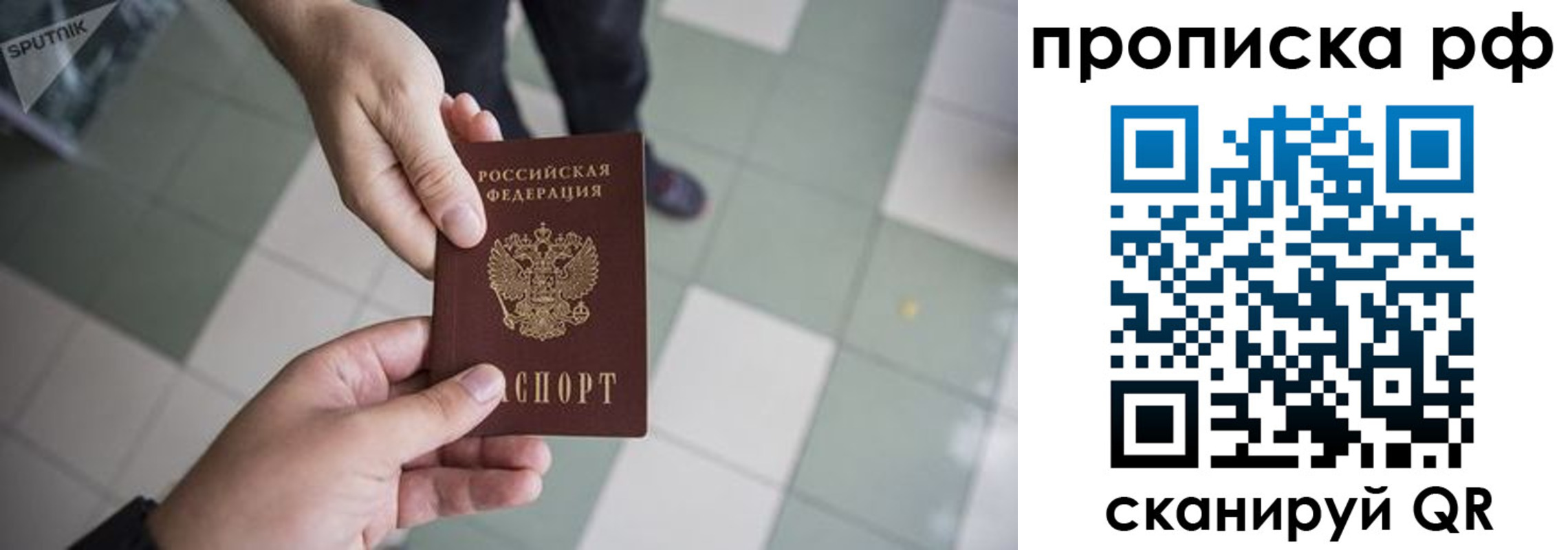 прописка гарантия в Петрозаводске